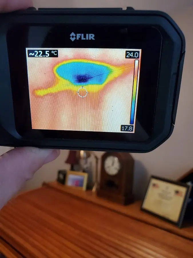 Thermal imaging inspection for water damage in Utica